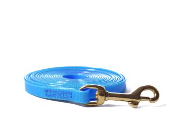 Biothane_tracking_leash_sewn_13mm_brass_snap_hook_gold_light_blue_small_web (19)
