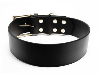 Biothane_collar_classic_50mm_brass_backside_black_small_web (1)