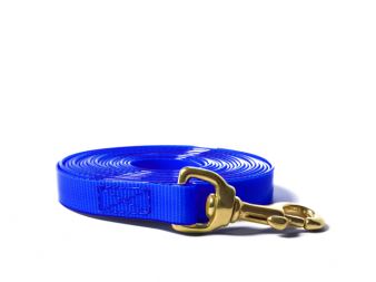 Biothane_tracking_leash_sewn_16-19mm_brass_snap_hook_gold_blue_small_web (21)