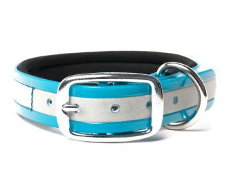 Biothane_collar_deluxe_neopren_gold_reflective_turquoise_small_web (76)
