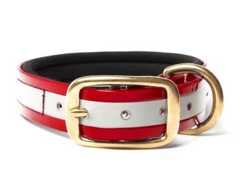 Biothane_collar_deluxe_brass_neopren_gold_reflective_red_small_web (75)