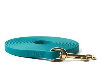 Biothane_tracking_leash_brass_snap_hook_13mm_sewn_light_green_small_web (6)