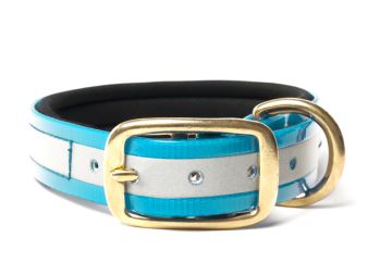 Biothane_collar_deluxe_brass_neopren_gold_reflective_turquoise_small_web (77)