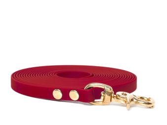 Biothane_tracking_leash_9_13mm_red_brass_trigger_small_web