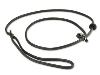 Estensione del assortimento di guinzaglio in pelle (3)