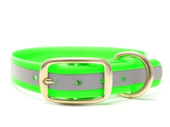 Biothane_collar_deluxe_brass_reflect_green_gold_small_web