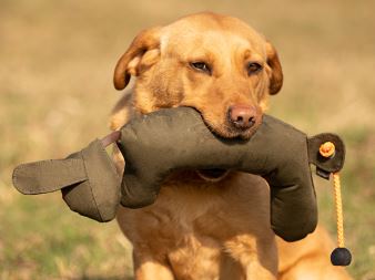 Rabbit_Dog_Dummy_produkt_foto_06_small_web (6)