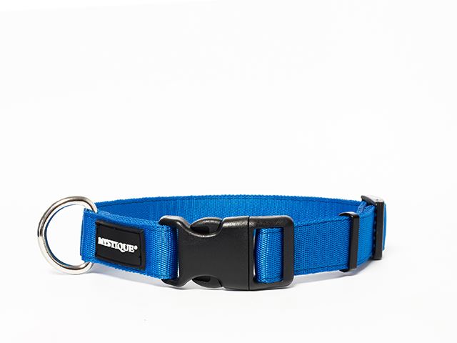 Nylon collar profi 25mm blue