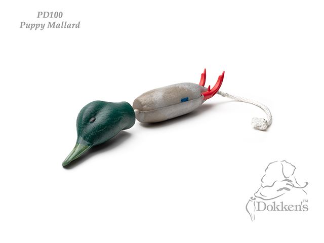 Dokken's canard chiot colvert