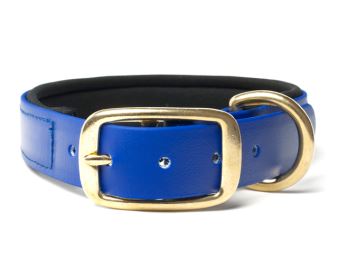 Biothane_collar_deluxe_brass_neopren_blue_small_web (12)