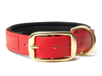 Biothane_collar_deluxe_brass_neopren_red_small_web (59)
