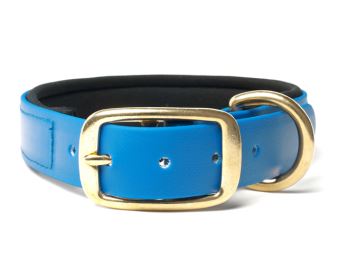 Biothane_collar_deluxe_brass_neopren_light_blue_small_web (30)
