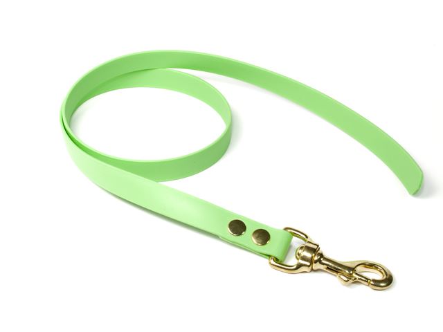 Biothane_leash_19mm_solid_brass_pastell_green_small_web