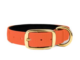 Hexa_collar_brass_deluxe_neon_orange_neoprene_small_web (27)