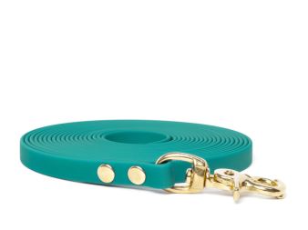 Biothane_tracking_leash_9_13mm_light_green_brass_trigger_small_web (26)