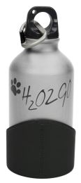 Bottiglia d'acqua H2O2GO - 350 ml argento