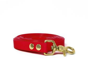 Biothane_tracking_leash_riveted_16-19mm_brass_trigger_hook_red_small_web