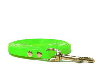 Biothane_tracking_leash_13mm_brass_snap_hook_light_green_small_web (8)