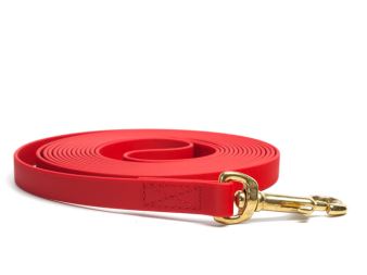 Biothane_tracking_leash_sewn_red_brass_snap_hook_small_web