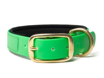 Biothane_collar_deluxe_brass_neopren_neon_green_small_web (40)