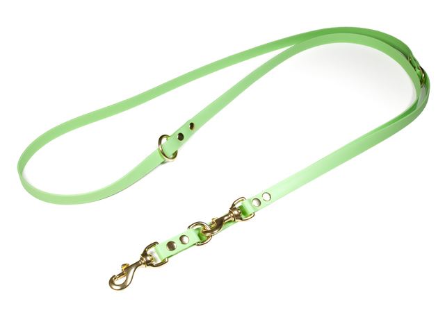 Biothane_adjustable_leash_solid_brass_pastell_green_small_web