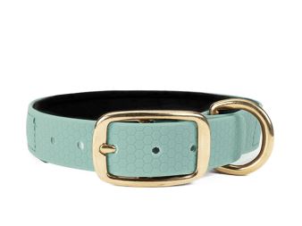 Hexa_collar_brass_deluxe_baby_blue_neoprene_small_web (26)