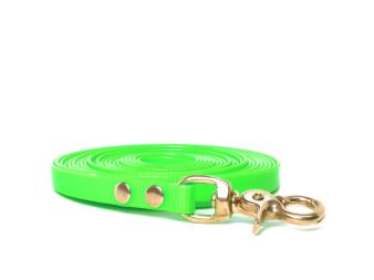 Biothane_tracking_leash_riveted_13mm_brass_trigger_hook_light_green_small_web (11)