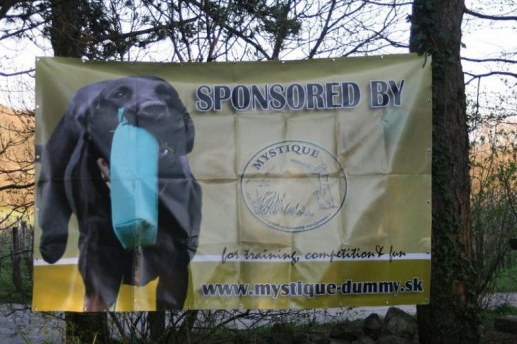 Sponsor of Dummy trial Trieste (IT)