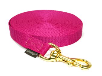 Nylon tracking leash solid brass 20mm purple