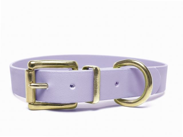 Biothane_collar_classic_brass_pastel_purple_small_web