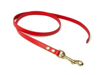 Biothane_leash_13mm_solid_brass_red_small_web
