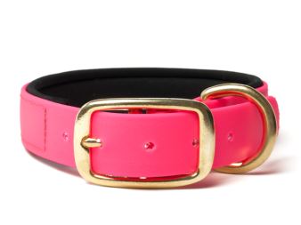 Biothane_collar_deluxe_brass_neopren_neon_pink_small_web (43)
