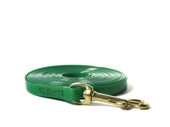 Biothane_tracking_leash_sewn_13mm_brass_snap_hook_gold_green_small_web