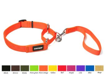 Nylon agility laisse