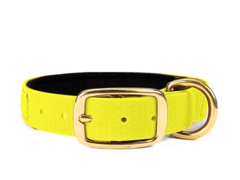 Hexa_collar_brass_deluxe_neon_yellow_neoprene_small_web (18)