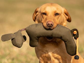 Rabbit_Dog_Dummy_produkt_foto_05_small_web (5)