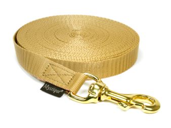 Nylon tracking leash solid brass 20mm beige