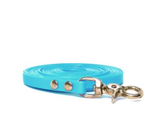 Biothane_tracking_leash_riveted_13mm_brass_trigger_hook_turquoise_small_web