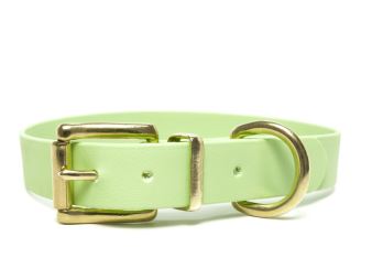 Mystique® Biothane collare classico 25mm verde pastello 45-53cm ottone