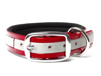 Biothane_collar_deluxe_neopren_gold_reflective_red_small_web (74)