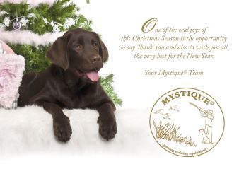 Souhaits de Noël