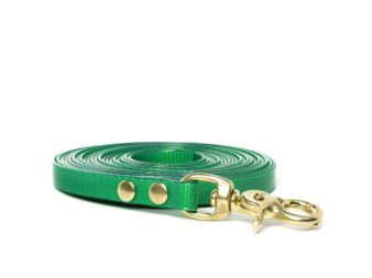 Biothane_tracking_leash_riveted_13mm_brass_trigger_hook_green_small_web