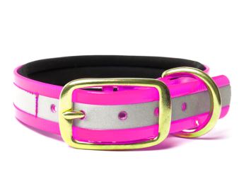Biothane_collar_deluxe_brass_neopren_gold_reflective_pink_small_web (73)