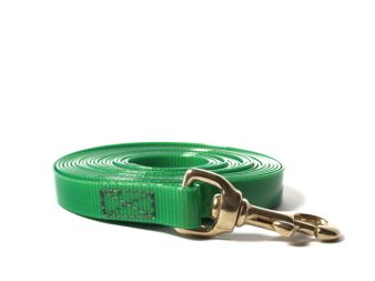 Biothane_tracking_leash_sewn_16-19mm_brass_snap_hook_gold_green_small_web
