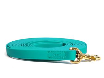 Biothane_tracking_leash_sewn_light_green_brass_trigger_small_web (17)