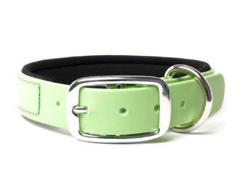 Biothane_collar_deluxe_neopren_pastel_green_small_web (50)