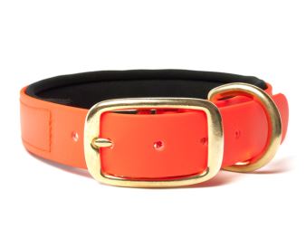 Biothane_collar_deluxe_brass_neopren_neon_orange_small_web (41)