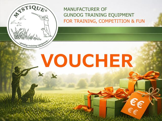 Mystique® Voucher 25 EUR