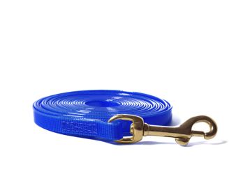 Biothane_tracking_leash_sewn_13mm_brass_snap_hook_gold_blue_small_web (5)