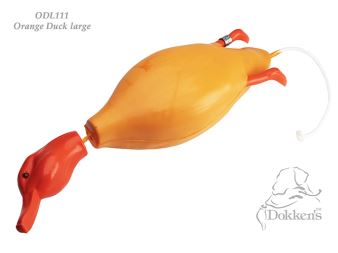 Dokken&#39;s canard colvert canard orange